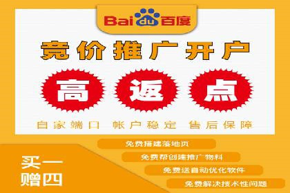 百度推广实战案例：优化广告投放策略
